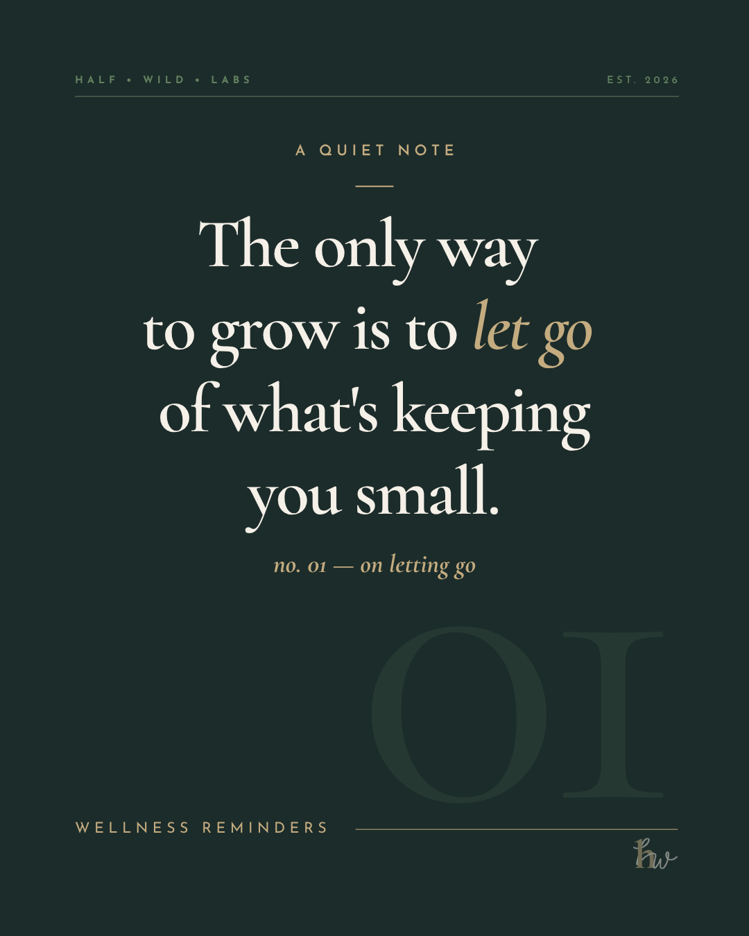 Wellness reminder no. 01 — on letting go